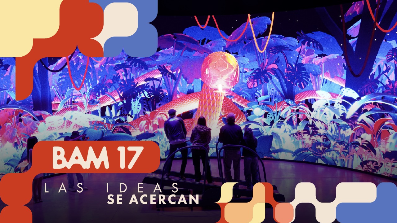Todo sobre el BAM